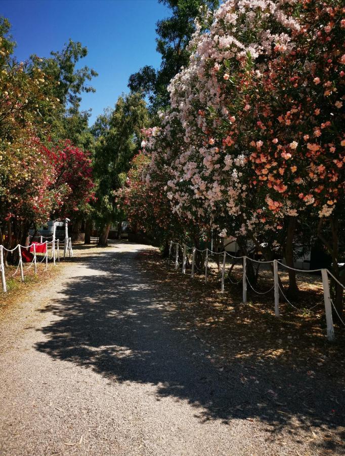 罗萨诺 Camping Pitagora酒店 外观 照片